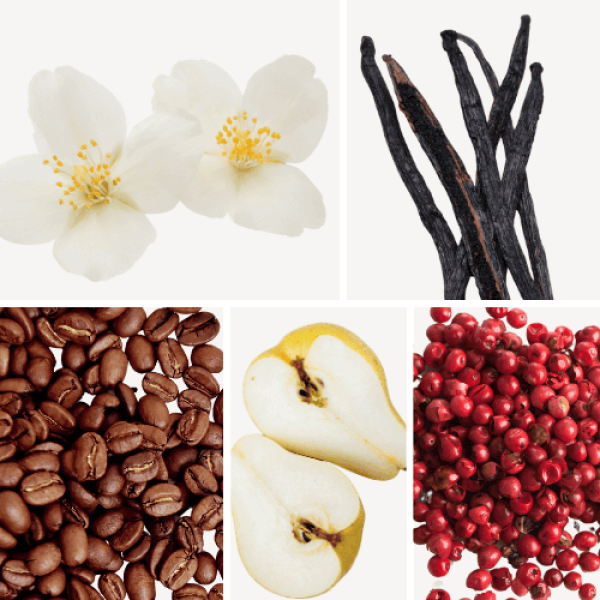 Duftnoten: Vanille, Kaffee, Jasmin, Birne, rosa Pfeffer